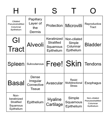 HISTO BINGO Card