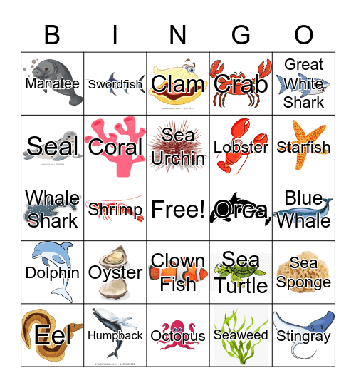 Marine Life Bingo Card