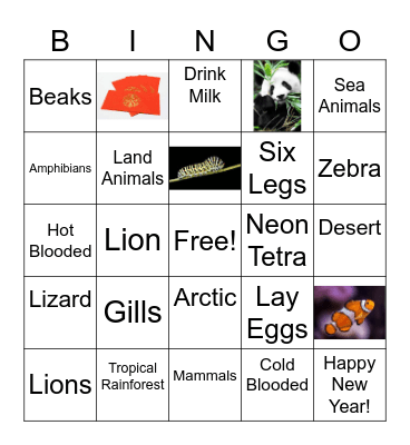 Animal Groups Bingo! Bingo Card