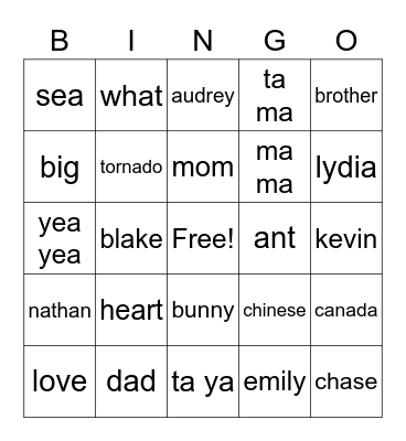 Hayley's Bingo Card Bingo Card