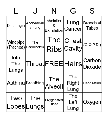 The Respiratory System Bingo Card