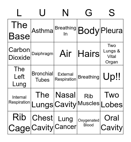 The Respiratory System Bingo Card