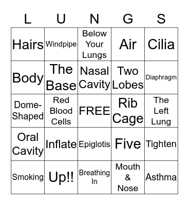 The Respiratory Stsyem Bingo Card