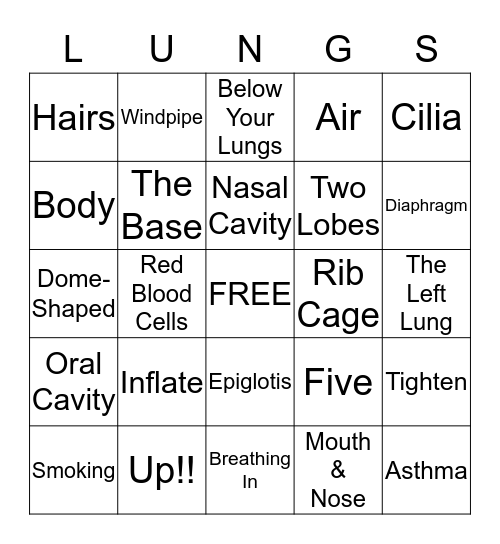 The Respiratory Stsyem Bingo Card