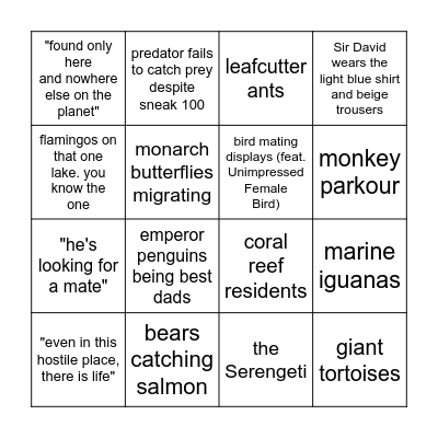 Nature Documentary Bingo Card