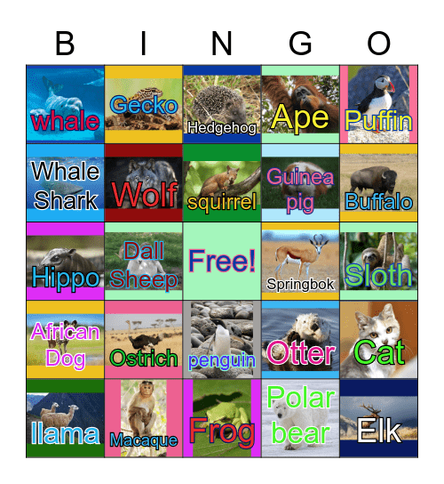 Animal Bingo 2 Bingo Card