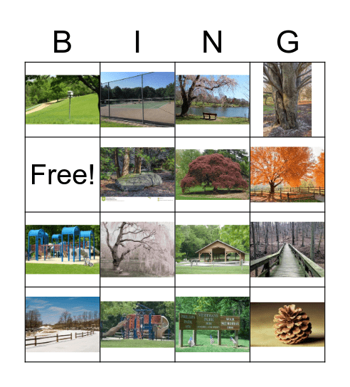 Ho78900lmdel Park Bingo Card