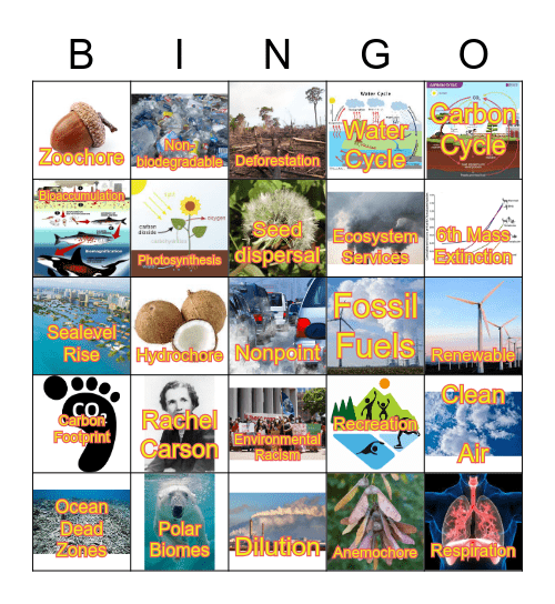 Ecosystem Services & Environmental Degradation Bingo Card