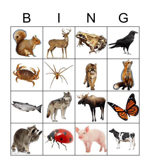 Animals 4 x 4, white background, 32 total Bingo Card