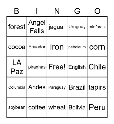 South America Bingo Card