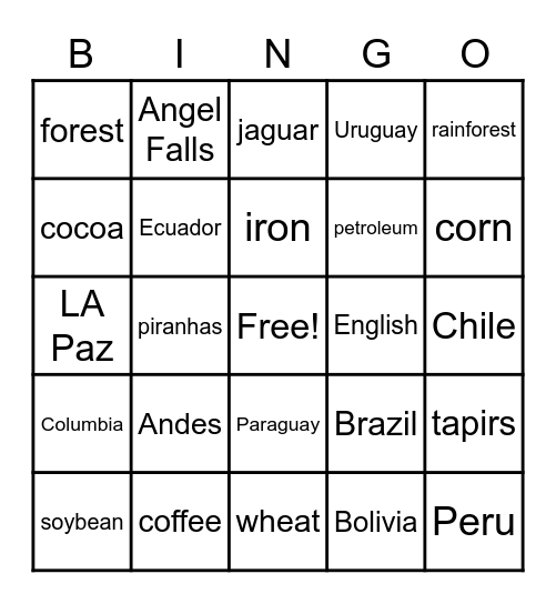 South America Bingo Card