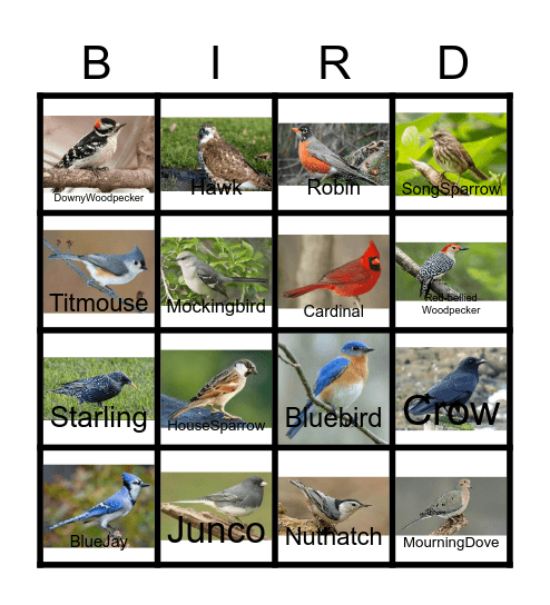 OHIO WINTER BIRD BINGO Card