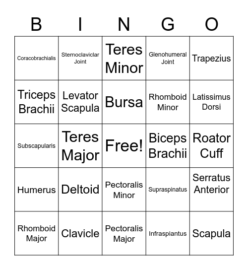 Shoulder n Arm Structers Bingo Card