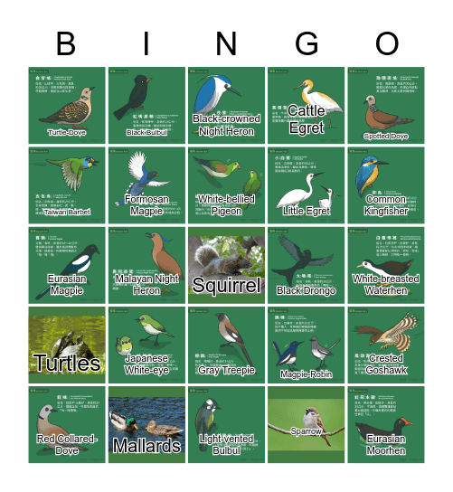 Birds & Wild lives @ Da-an Park Bingo Card
