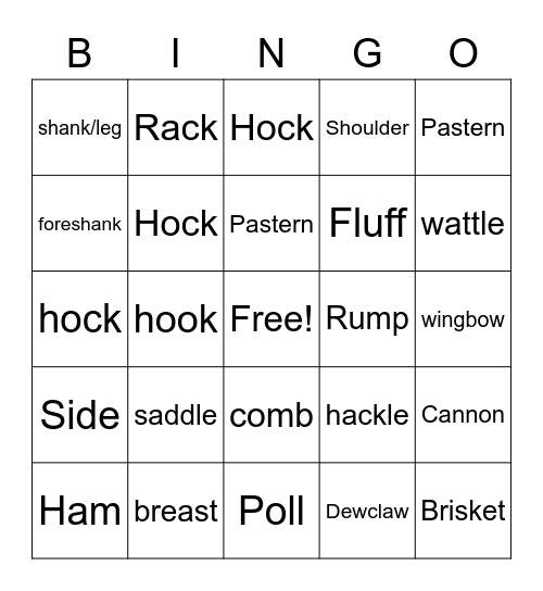 Livestock External Anatomy Bingo Card