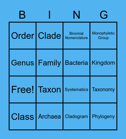 Classification Bingo Card