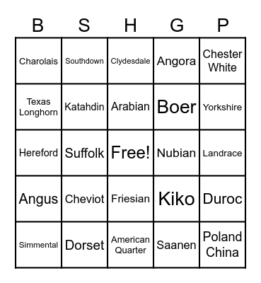 Animal Breeds BINGO 2 Bingo Card