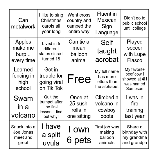 Get to Know the Team Bingo Card