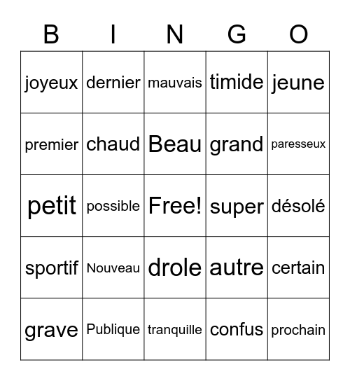 Adjectives - French Bingo Card
