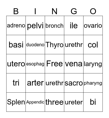 Medical Terminology 101 Bingo Card