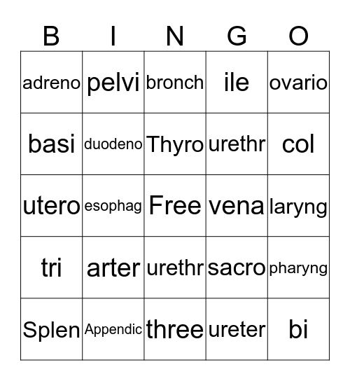 Medical Terminology 101 Bingo Card