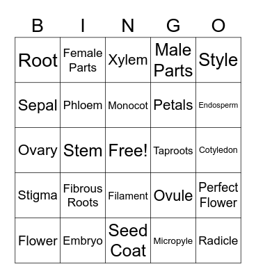 Parts of a Plant, Flower and Seed Bingo Card