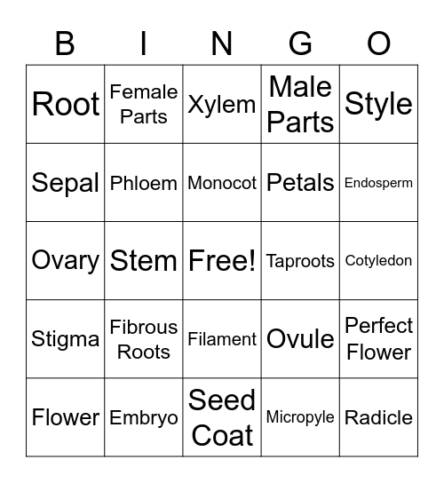 Parts of a Plant, Flower and Seed Bingo Card
