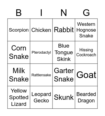 Verge Night Bingo Card