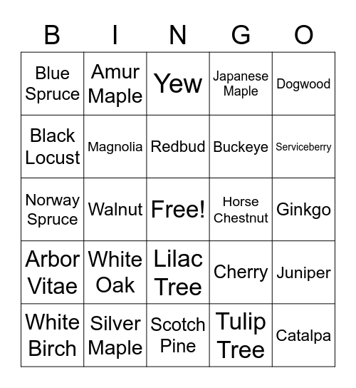 Tree Review Bingo Card