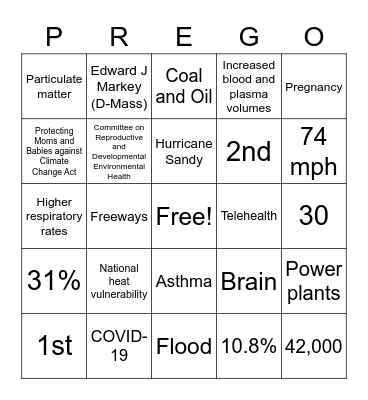 Climate and Pregnancy Bingo Card