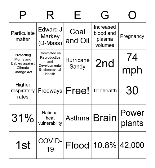 Climate and Pregnancy Bingo Card