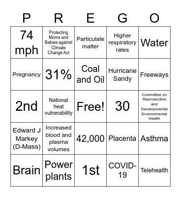 Climate and Pregnancy Bingo Card