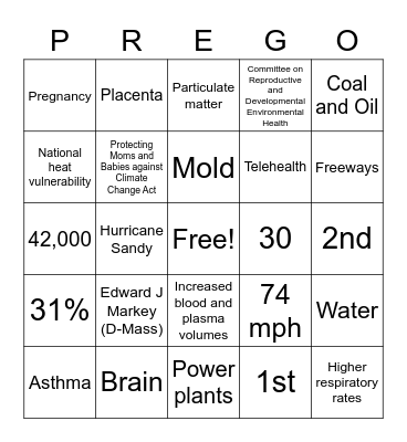 Climate and Pregnancy Bingo Card