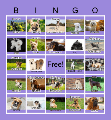 Types of Dogs Bingo Card