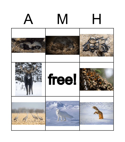 Animals in Winter Bingo Card