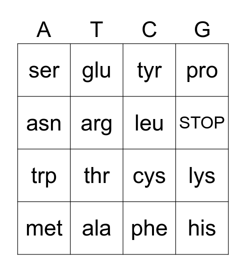 Amino acids Bingo Card