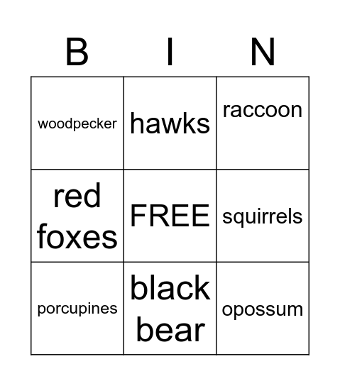 What Animal Am I? Bingo Card