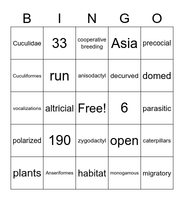 Cuculidae Bingo Card