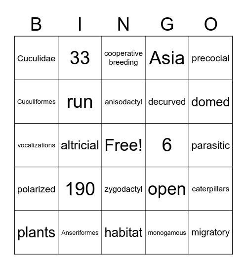 Cuculidae Bingo Card