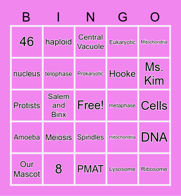 Unit 3 Bingo Card