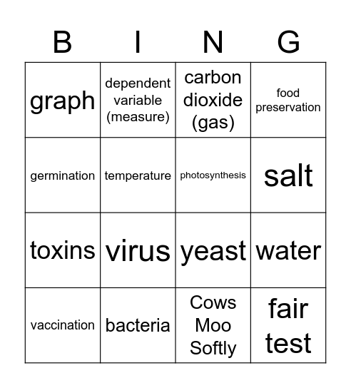 Year 6 - Marvellous organisms Bingo Card