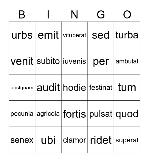 1E/5+6 vocab words Bingo Card