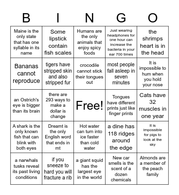 fun facts Bingo Card