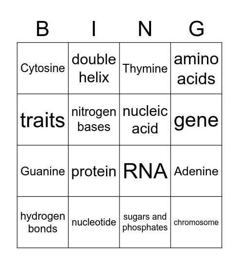 DNA Structure and Function Bingo Card