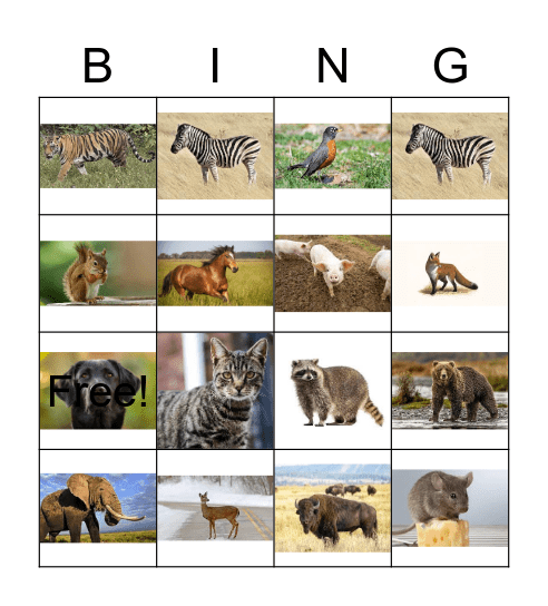 Animal Bingo Card