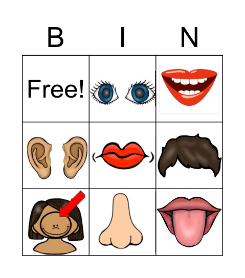 Parts of the Face Bingo Card