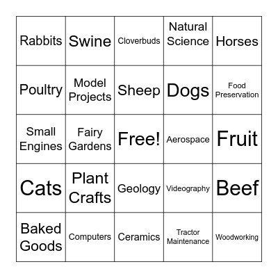 4-H Green County Fair Projects Bingo Card