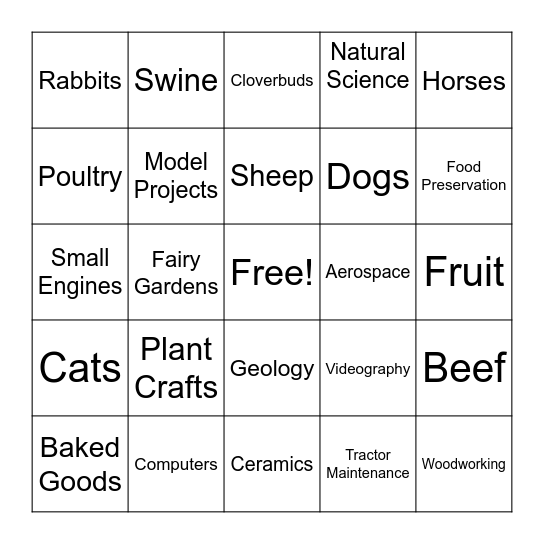 4-H Green County Fair Projects Bingo Card