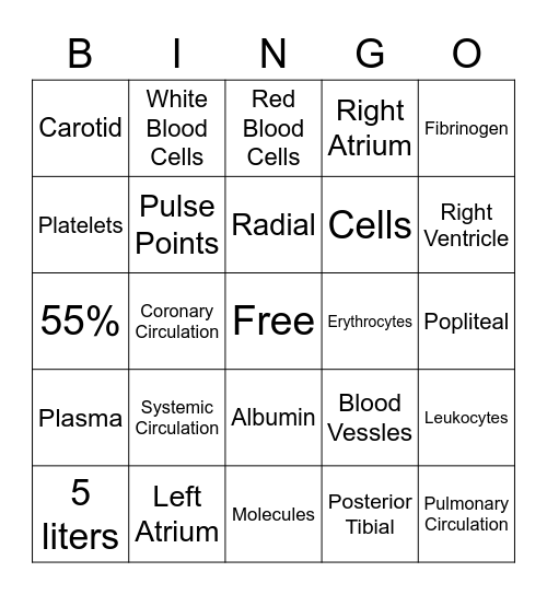 Circulation and blood Bingo Card