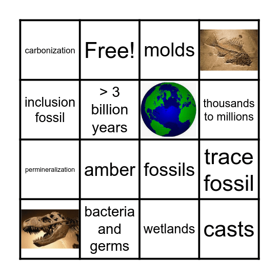 Fossils Bingo Card